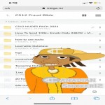 CS12 FRAUD BIBLE 2021